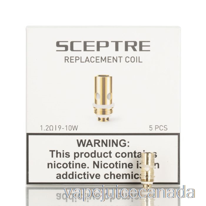 Vape Disposable Canada Innokin S Replacement Coils 1.2ohm Coils